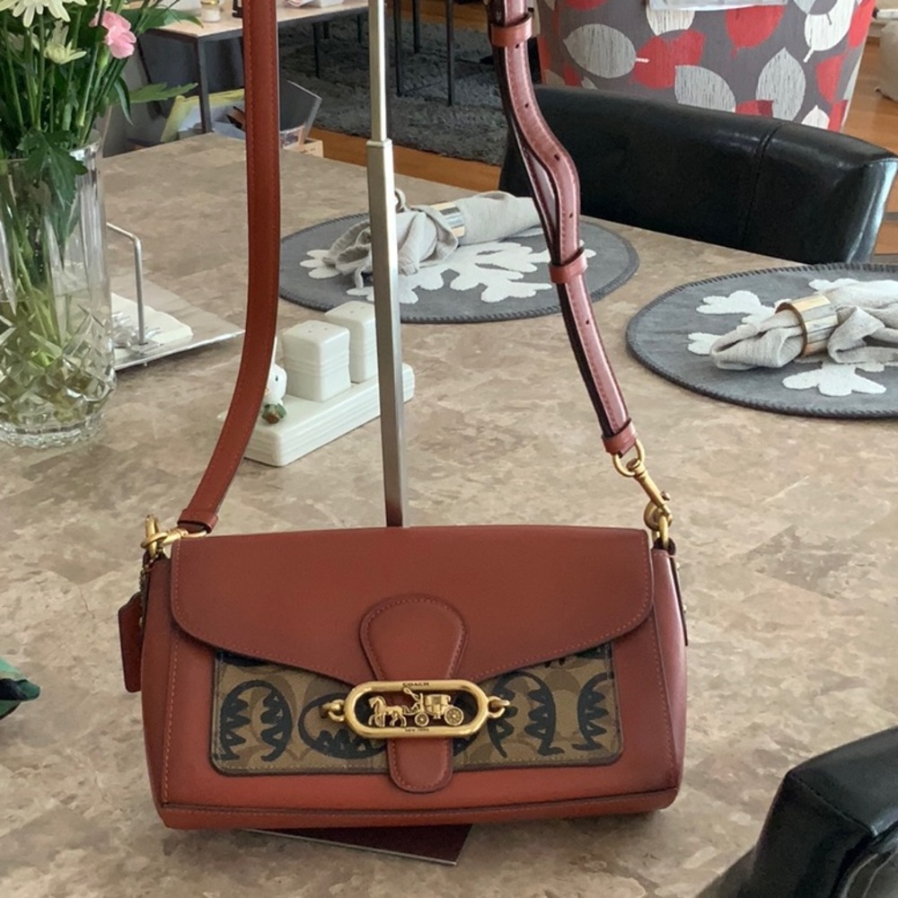 Coach x Guang Yu Beat Shoulder Bag 18 - Limited Edition 2020 Artist Collab - Picture 3 of 16